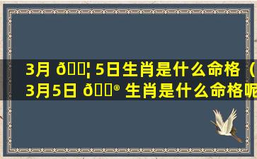 3月 🐦 5日生肖是什么命格（3月5日 💮 生肖是什么命格呢）